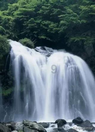 重返战场